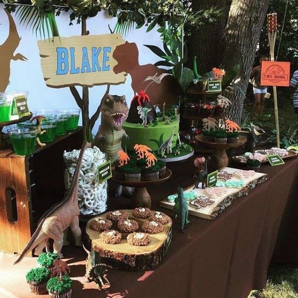
    Dinosaur Party Favors
  