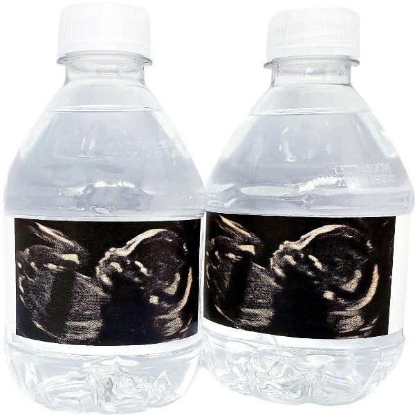 Add Your Sonogram Photo Personalized Water Bottle Labels Many Colors - Favors Today