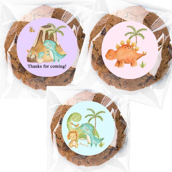 Personalized Dinosaur Cello Favor Bags Many Options - Favors Today