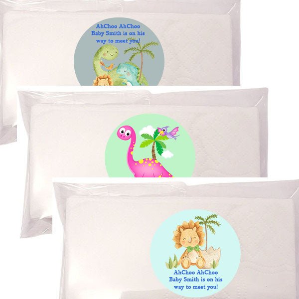 Personalized Dinosaur Tissue Pack Party Favors Many Options - Favors Today